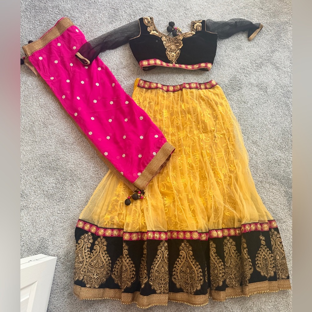 Chanya Choli Lengha - Picture 1 of 2